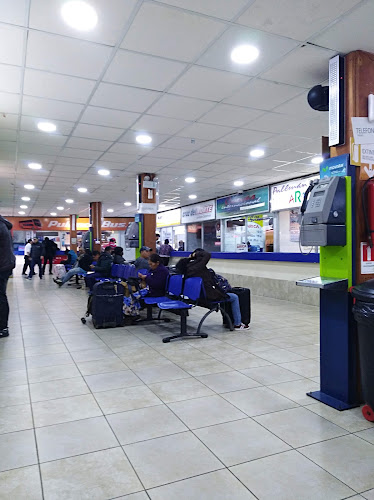 Opiniones de Rodoviario de Iquique en Iquique - Servicio de transporte
