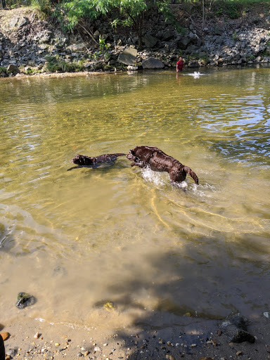 Dog Park «Clarendon Dog Park», reviews and photos, 1299 N Herndon St, Arlington, VA 22201, USA