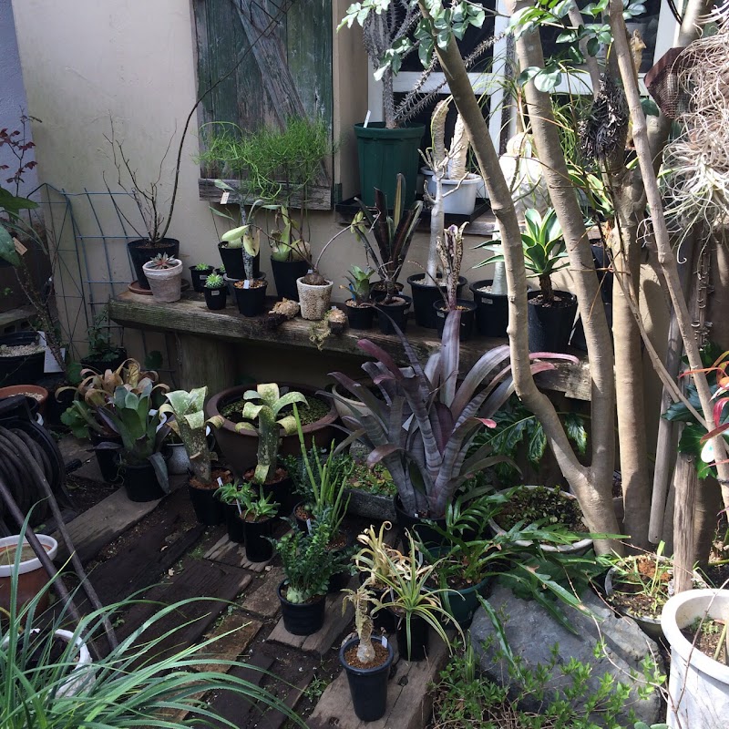 苔丸 神奈川県鎌倉市鎌倉山 花屋 花 グルコミ