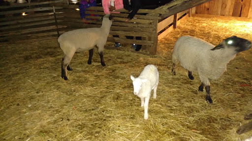 Funeral Home «Paul R Young Funeral Home», reviews and photos, 7345 Hamilton Ave, Cincinnati, OH 45231, USA