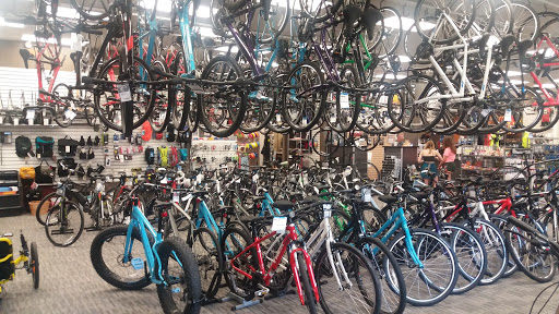 Bicycle Store «Bike World», reviews and photos, 126 S 3rd St, Ames, IA 50010, USA