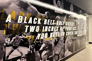 UFC Performance Institute image