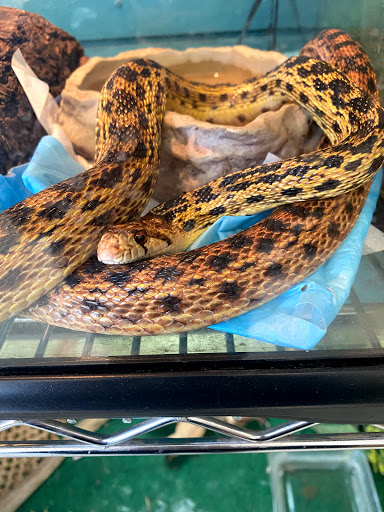 Pet Store «Critters & Co Pet Center», reviews and photos, 11042 WA-525, Clinton, WA 98236, USA