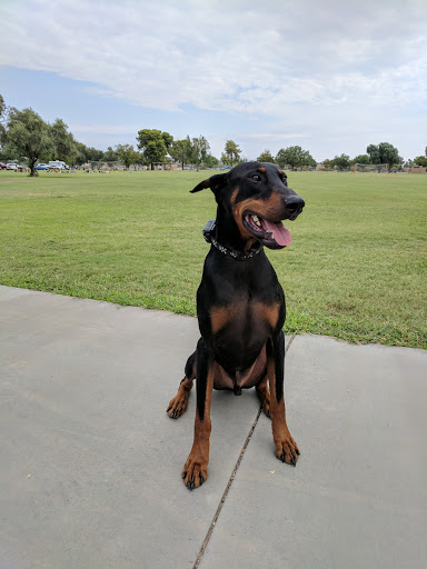 Park «Paradise Valley Park», reviews and photos, 17642 N 40th St, Phoenix, AZ 85032, USA