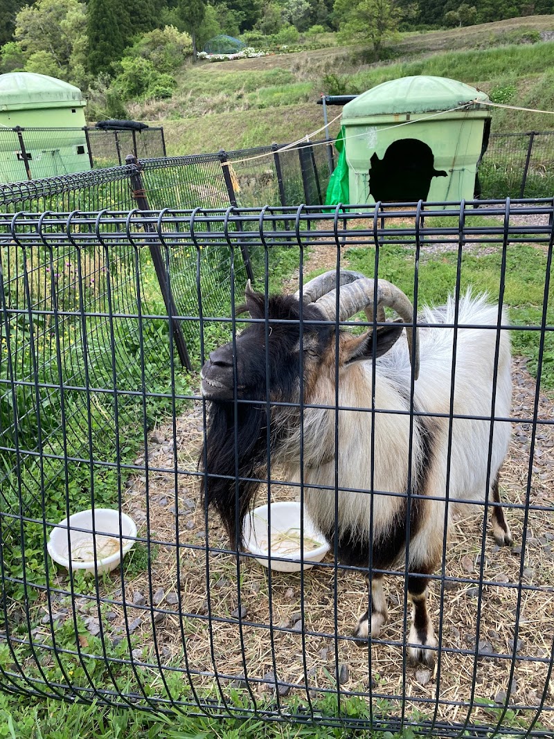 堤田農村公園