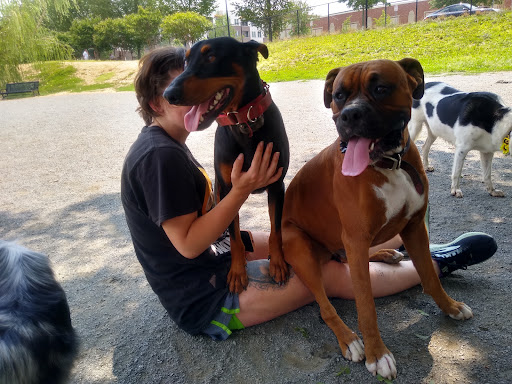 Park «Eugene Simpson Stadium Park», reviews and photos, 426 E Monroe Ave, Alexandria, VA 22301, USA