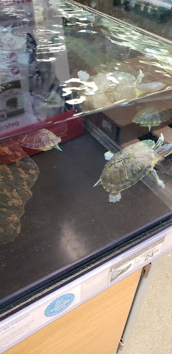 Pet Supply Store «Petco Animal Supplies», reviews and photos, 3194 FM407, Highland Village, TX 75077, USA