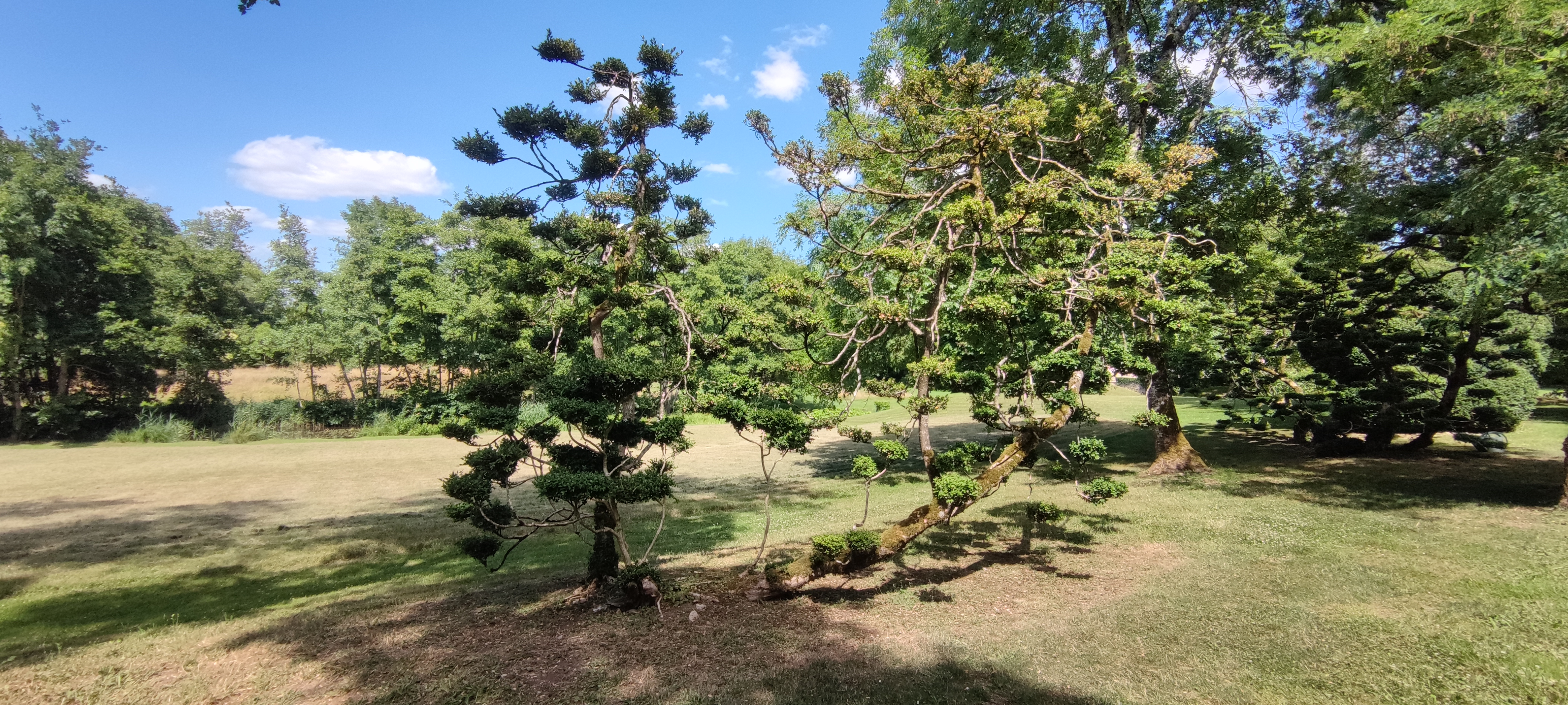 Photo n° 9 de l'avis de Bérengère.H fait le 13/07/2023 à 16:21