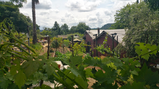 General Store «Dry Creek General Store», reviews and photos, 3495 Dry Creek Rd, Healdsburg, CA 95448, USA