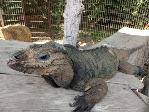 Pet Store «Zoo Creatures Pet Store», reviews and photos, 149 Plaistow Rd, Plaistow, NH 03865, USA