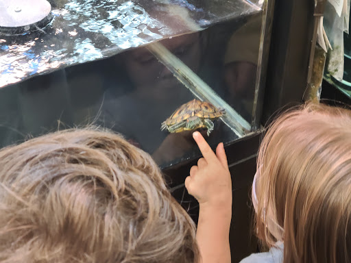 Pet Supply Store «Petco Animal Supplies», reviews and photos, 4665 Garth Rd #400, Baytown, TX 77521, USA