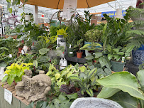 The Big Tool Box and Highlands Garden Center, Parker, CO - Photo 4 - Car repair in Parker, CO, Highlands Ranch