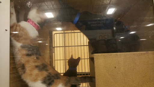 Pet Supply Store «PetSmart», reviews and photos, 13600 Baltimore Ave, Laurel, MD 20707, USA