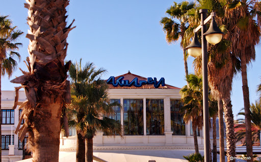 Carpas de discoteca en Valencia