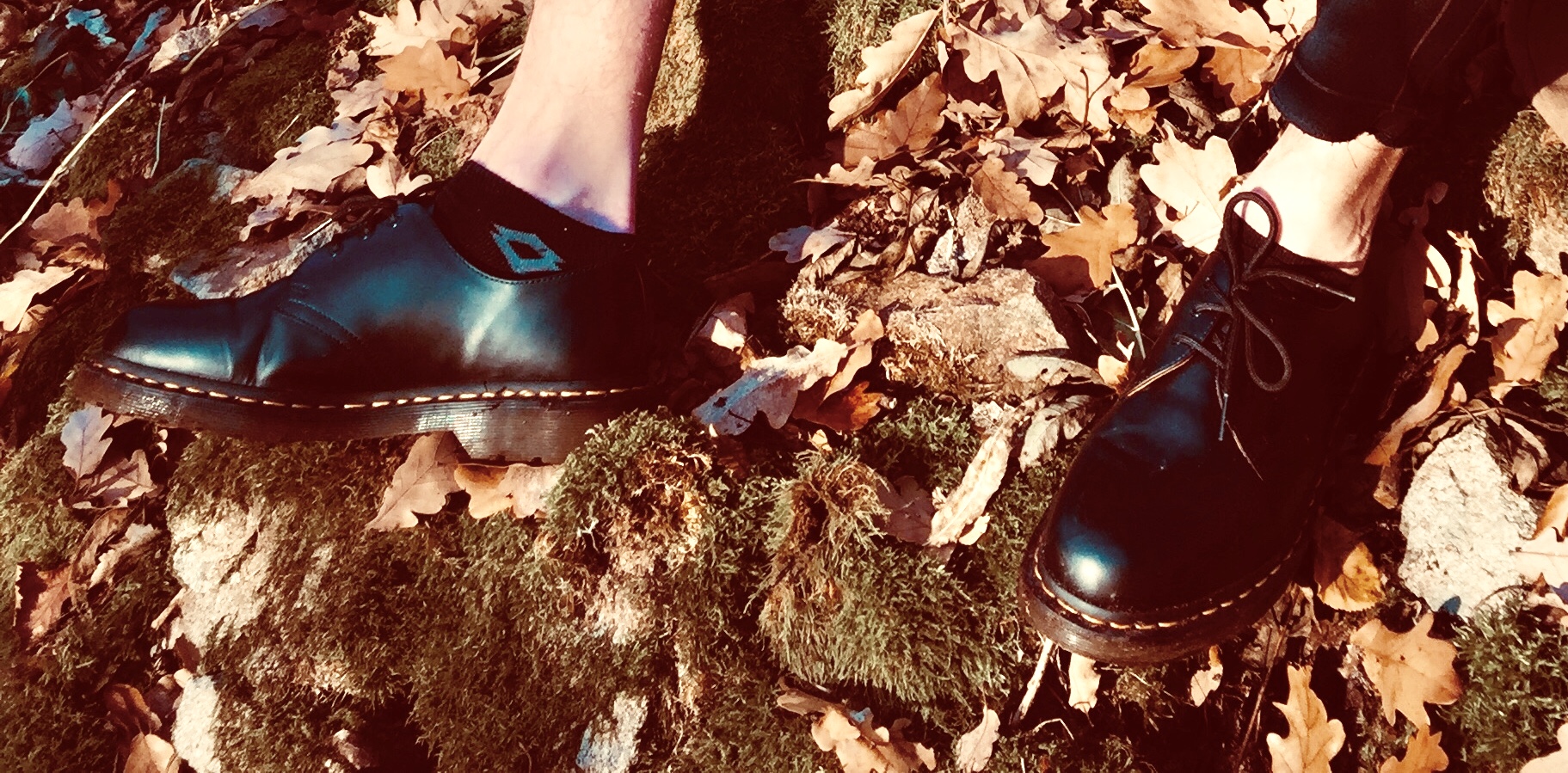 Photo n° 1 de l'avis de lord.o fait le 03/12/2018 à 10:00