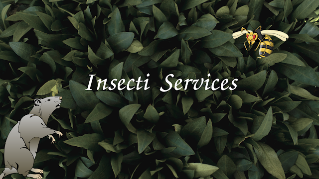 Insecti Services
