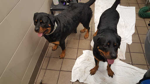 Pet Supply Store «Pet Supplies Plus», reviews and photos, 126 E Main St, Smithtown, NY 11787, USA