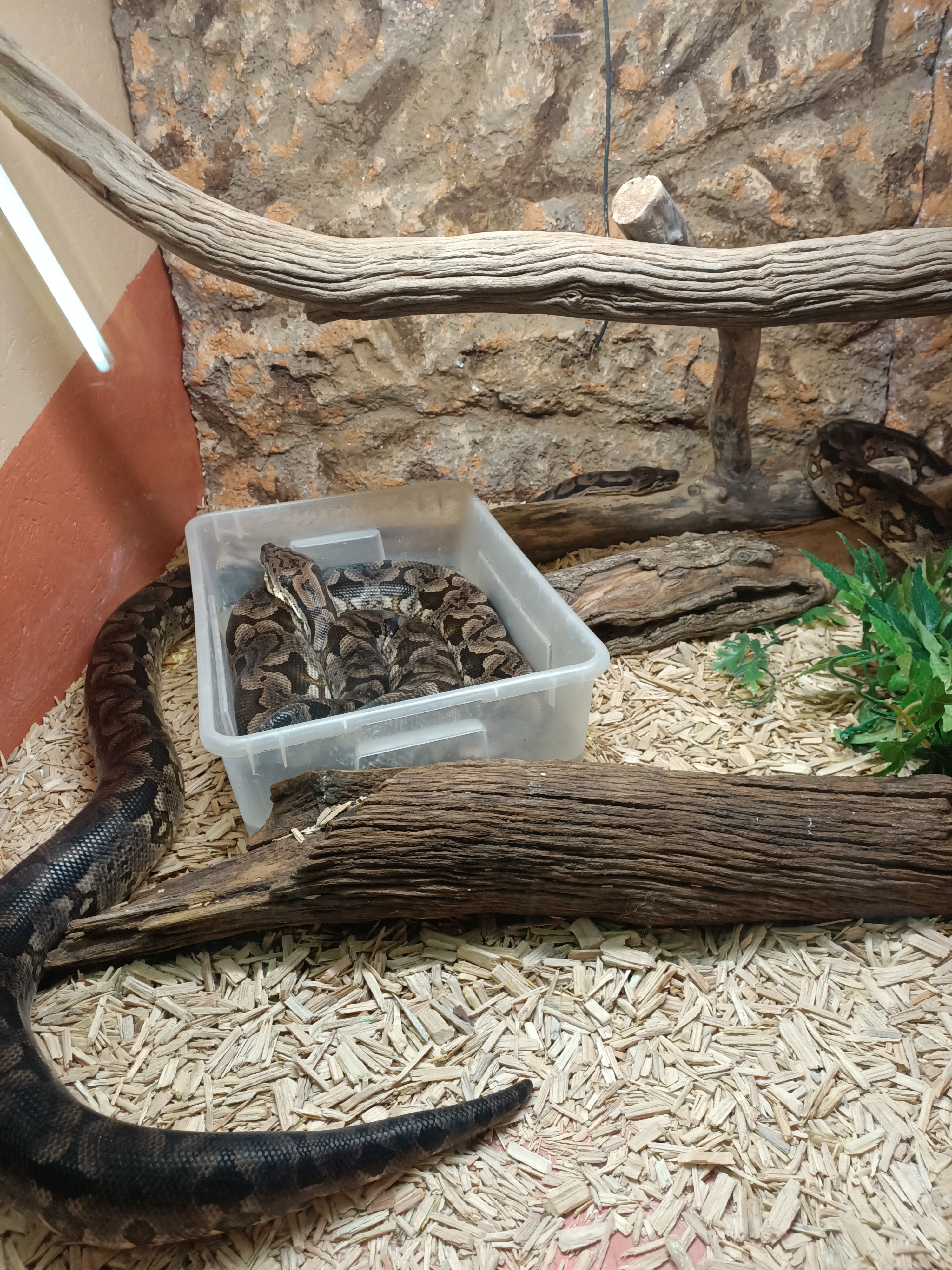 Photo n° 15 de l'avis de Dufau.a fait le 21/02/2024 à 14:51