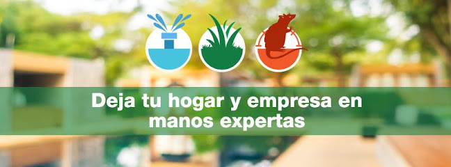 Agroservicios Capurro Limache