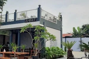 Animus Coffee and Eatery image