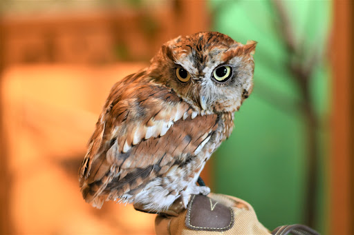 Retreat Center «Refreshing Mountain Retreat and Adventure Center», reviews and photos, 455 Camp Rd, Stevens, PA 17578, USA