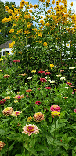 Tourist Attraction «Blithewold Mansion, Gardens & Arboretum», reviews and photos, 101 Ferry Rd, Bristol, RI 02809, USA