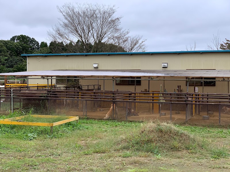 老犬ホーム関東 花園牧場(健常犬預かり可) はなぞのファーム(株)