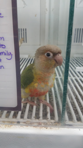 Pet Supply Store «Petco Animal Supplies», reviews and photos, 825 Hartford Turnpike, Waterford, CT 06385, USA