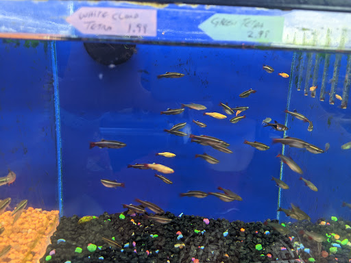 Tropical Fish Store «Coral Reef Aquariums», reviews and photos, 8416 N Armenia Ave, Tampa, FL 33604, USA