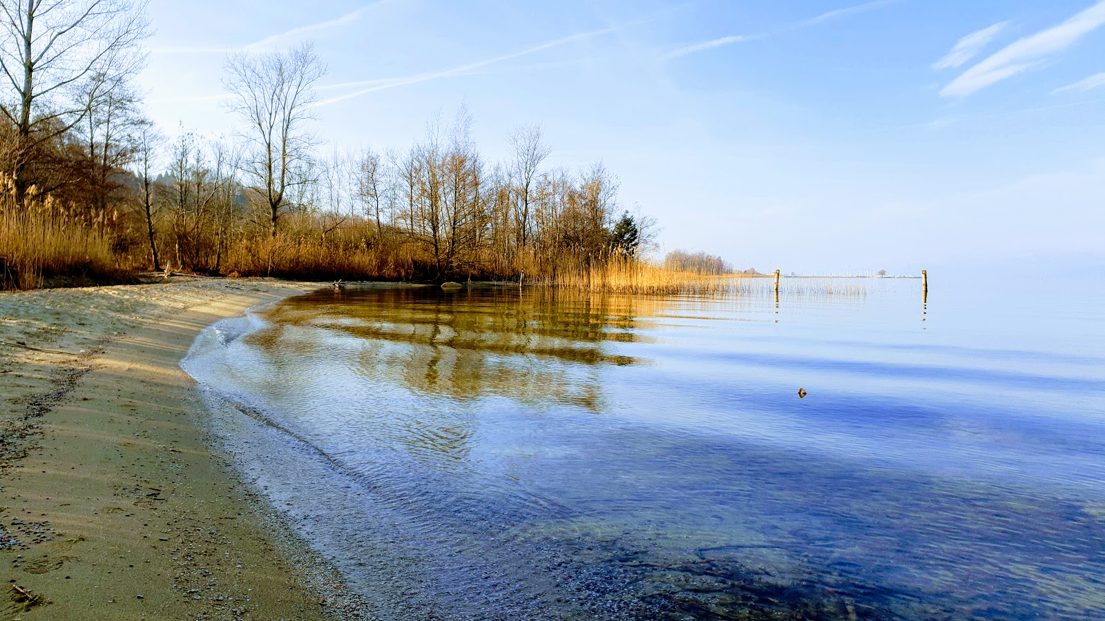 Zdjęcie Plage communale publique de Chabrey położony w naturalnym obszarze