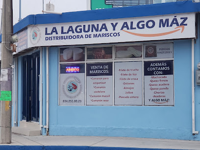 La laguna y algo máz