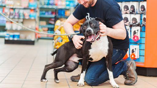 Pet Supply Store «Dogge Style Pets Passyunk», reviews and photos, 1700 E Passyunk Ave, Philadelphia, PA 19148, USA