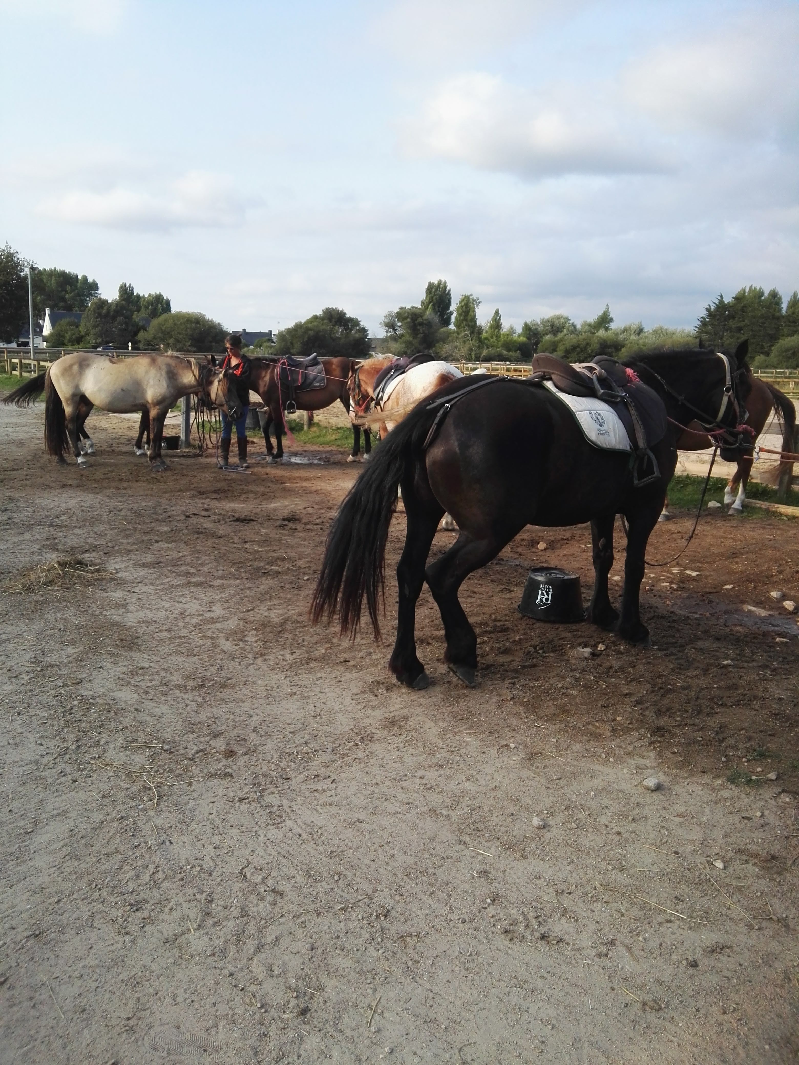 Photo n° 1 de l'avis de dominique.i fait le 13/08/2018 à 20:40