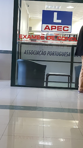 Associação Portuguesa de Escolas de Condução - Associação