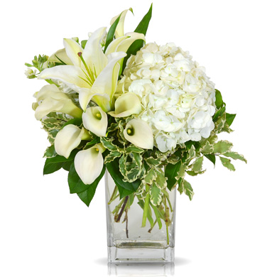 Florist «Dallas Petals», reviews and photos, 7777 Forest Ln, Dallas, TX 75230, USA
