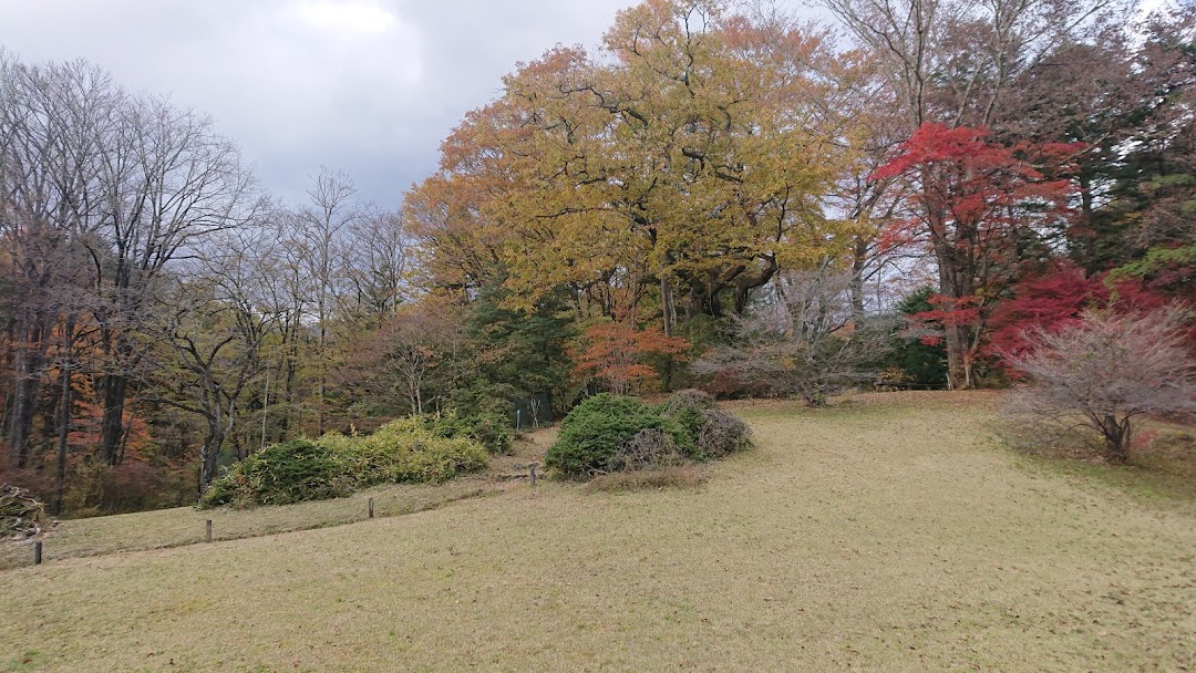 東京大学大学院 理学系研究科附属植物園日光分園 市内で日光市