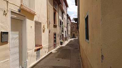 Sanglier Jean-Luc à Saint-Amand-Montrond