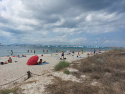 Foto von Playa Es Cavall d'En Borras annehmlichkeitenbereich