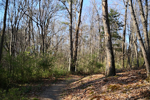 Little Bennett trail head