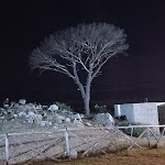 Photo n°9 de l'avis de Fabio.u fait le 25/08/2022 à 18:11 sur le  Acquaviva - La Taverna del Castello à Rocca d'Evandro