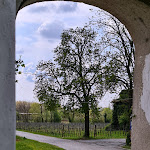 Photo n°4 de l'avis de Luca.e fait le 15/04/2021 à 20:30 sur le  Osteria di Villafredda à Loneriacco