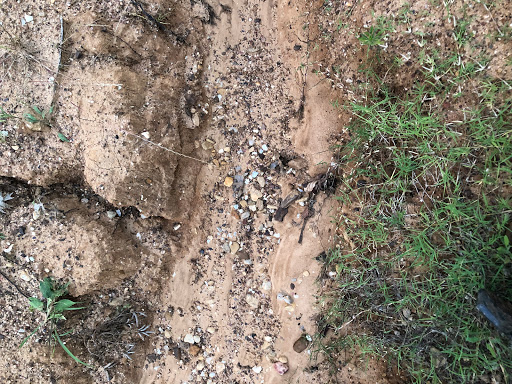 Park «River Legacy Parks East», reviews and photos, 1601 NE Green Oaks Blvd, Arlington, TX 76006, USA