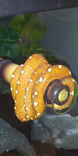 Pet Supply Store «Petco Animal Supplies», reviews and photos, 2565 NE 10th Ct, Homestead, FL 33035, USA