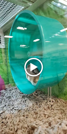 Pet Supply Store «PetSmart», reviews and photos, 2216 E Springs Dr, Madison, WI 53704, USA