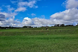 Theydon Bois Earthwork image