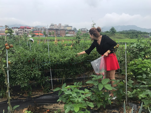 Hair Salon «Nayoung hair salon», reviews and photos, 13615 Inwood Rd #160, Dallas, TX 75244, USA