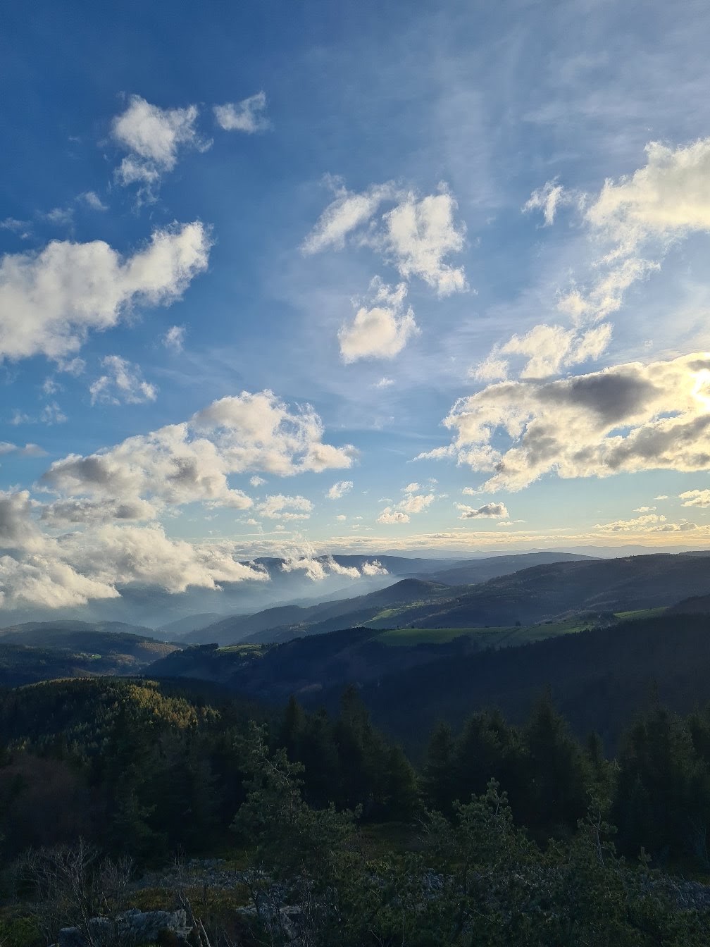 Photo n° 22 de l'avis de V-W.- fait le 19/11/2022 à 13:41