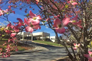 St. Luke's Hospital image