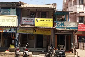 Veena World - Disha Tours & Travels image