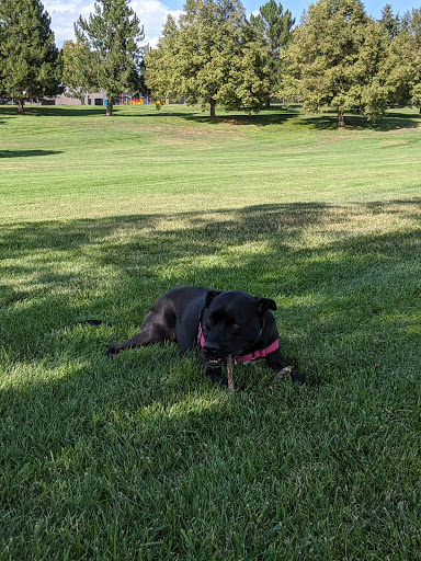 Park «Sagebrush Park», reviews and photos, 4744 S Evanston Way, Aurora, CO 80015, USA